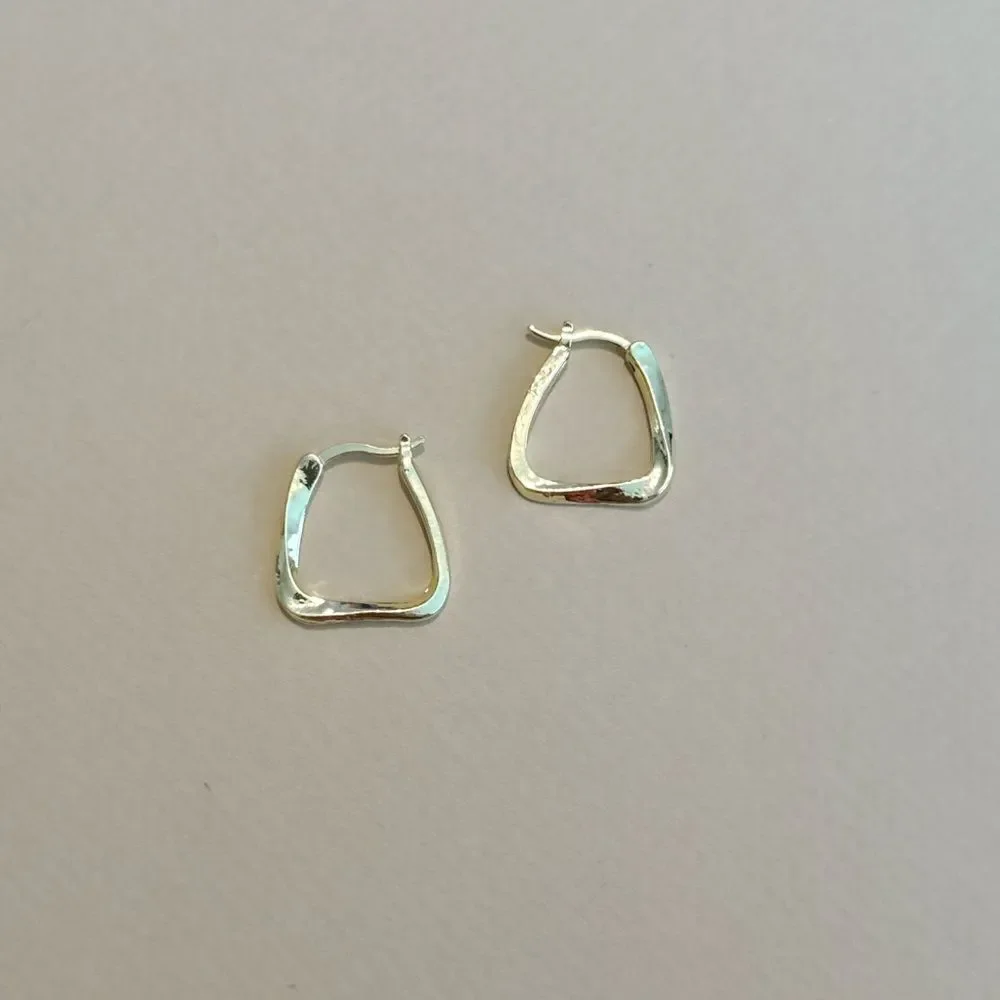 Gold Hoop Earrings N1520
